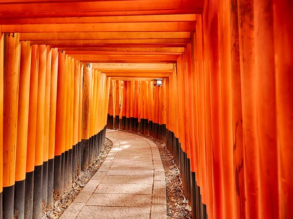 在Fushimin Inari Shinto神龛的数以百计的橙色环形山大门上 一条长长的小路闪烁着光芒 — 图库照片