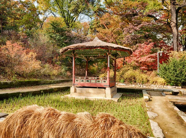 昌徳宮庭園内にある水田には韓国の小さな別荘があります — ストック写真