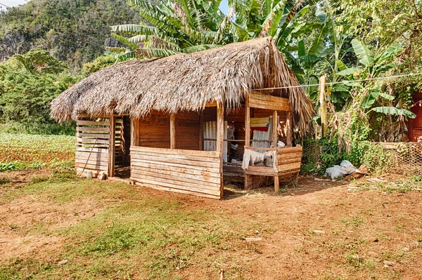 Una Piccola Cabina Con Tetto Erba Paglia Funge Rifugio Lavoratori — Foto Stock