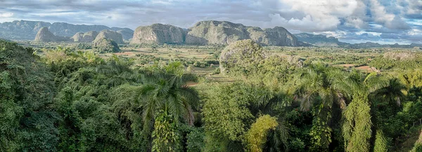 Panorama View Vinales Valley Highlight Lush Green Forests Fields Farmland — Stock Photo, Image