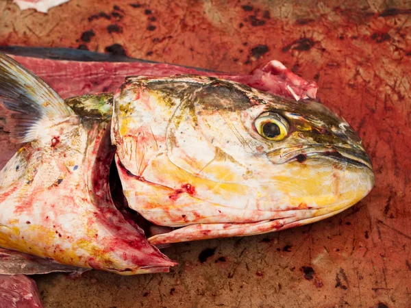 Uma Cabeça Peixe Ensanguentada Mesa Corte Num Mercado Peixe — Fotografia de Stock