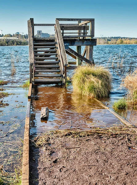 Observation Tower Stranded Rising Water Lake Washington Seattle — Stock Photo, Image