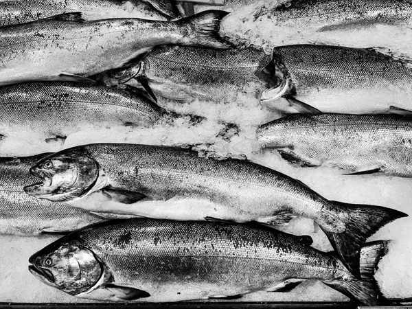 西雅图的海鲜市场在冰上展示整个鲑鱼 — 图库照片