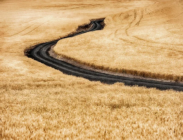 Uma Estrada Rural Atravessa Campos Trigo Palouse Perto Waitsburg Washington — Fotografia de Stock