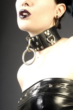 Alt Model