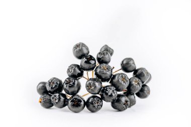 Aronia beyaz bir arkaplanda izole edilmiştir..