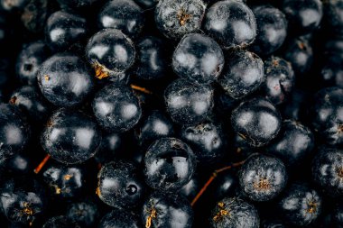 Arka plan olarak böğürtlen (Aronia melanocarpa) üzümleri.