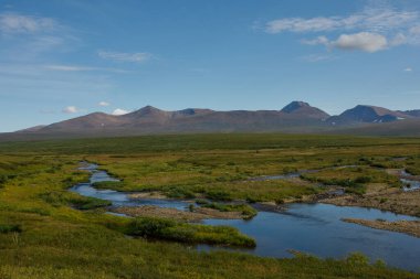 Kayalarla dolu temiz bir nehir dağlara çıkar. Açık yaz günü.