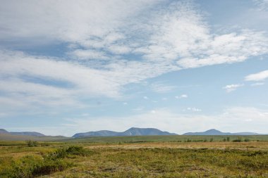 Tundra bizi dağlara götürür. Çok var. Açık yaz günü.