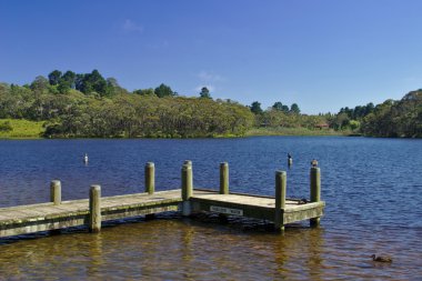 Wentworth göle düşüyor