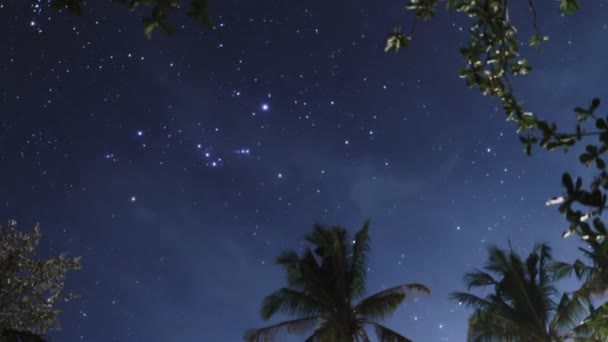 Спокойная ночная сцена звездного неба в тропиках, романтическая космическая фантазия в сумерках, звезды Млечного Пути — стоковое видео