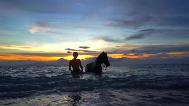 Silhueta de um cavaleiro com garanhão saindo da água ondulada do oceano, pôr do sol deslumbrante no fundo — Vídeo de Stock