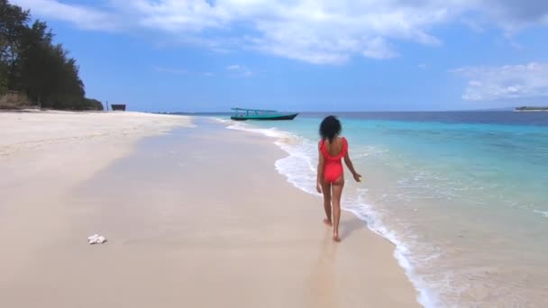 Vissza kilátás sovány barna modell séta rózsaszín fürdőruha a tengeren fröccsenő hullámok a szigeten strandon — Stock videók