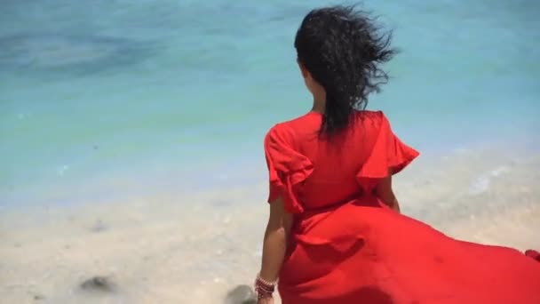 海の近くに立っているブルネットモデルの雄大な赤いドレス,水平線の上の自然の美しさを熟考 — ストック動画