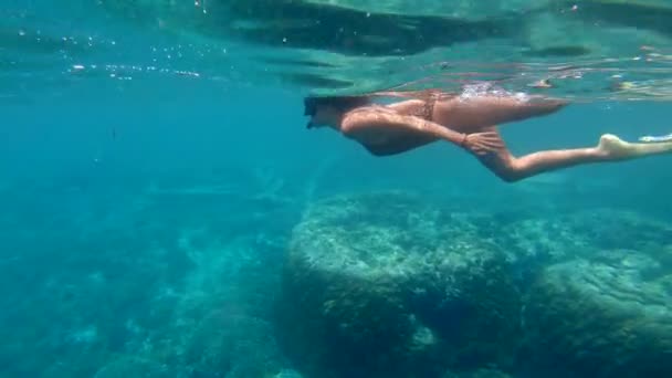 Γυναίκα με μάσκα και αναπνευστήρα κολύμπι κάτω από το νερό, κοιτάζοντας ύφαλο ωκεανό, τροπική κατάδυση σε καθαρό νερό — Αρχείο Βίντεο