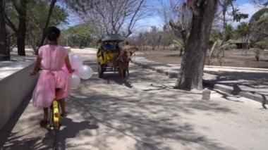 Şehir parkında bisiklet süren pembe elbiseli hoş bir kadın. Turistler için egzotik at arabası 