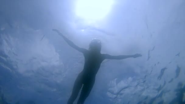 Sualtında zarif bir kadının yüzüşü, okyanusta şnorkelle yüzüşü, temiz suda güneş ışınları. — Stok video