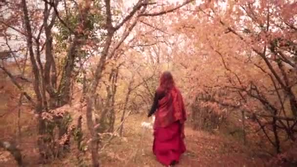Krajobraz bajki widok tajemniczy ruda kobieta w wspaniały czerwony strój spacery przez złote lasy — Wideo stockowe