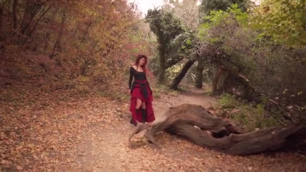 Cinematic tylny widok magicznej kobiety w sukience uciekającej przez złoty jesienny majestatyczny las — Wideo stockowe