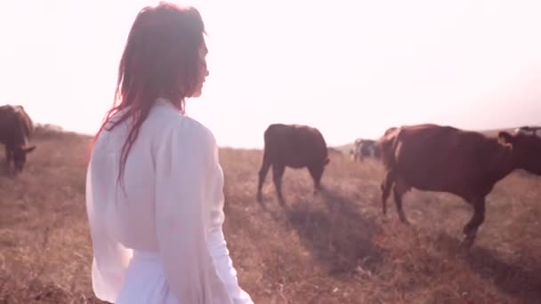 Piękna, spokojna ruda kobieta w białej sukience spacerująca z krową i stadem cieląt na złotym polu, łąka — Wideo stockowe
