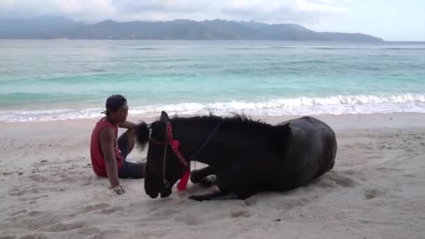 Iloinen suloinen clack hevonen nauttii valkoista hiekkaa ja valtameren aaltoja maaseudun ratsumies, Kuta - Indonesia - 2021 — kuvapankkivideo