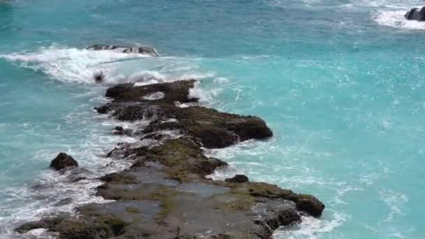 Les vagues océaniques éclaboussent les récifs Vidéo De Stock Libre De Droits