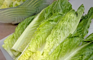 Romaine Marul