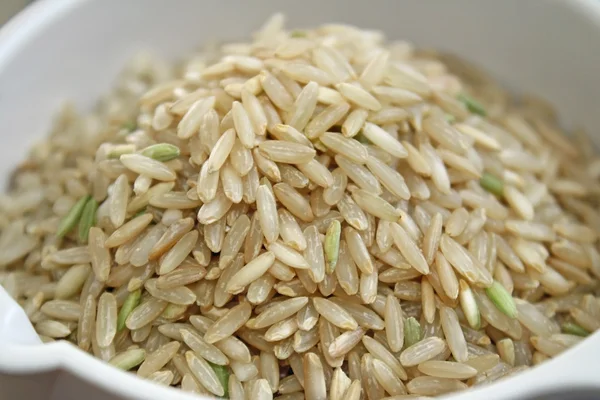 Brown Rice — Stock Photo, Image