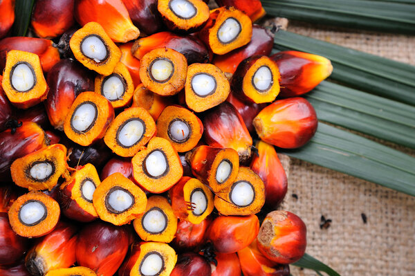 пальмовое масло