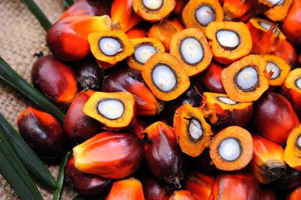 пальмовое масло