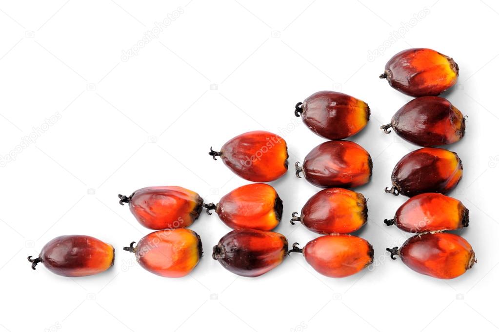 Fresh palm oil seeds