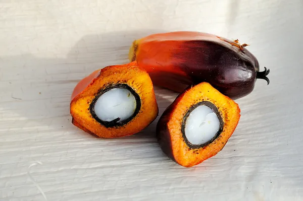 Palmový olej ovoce — Stock fotografie