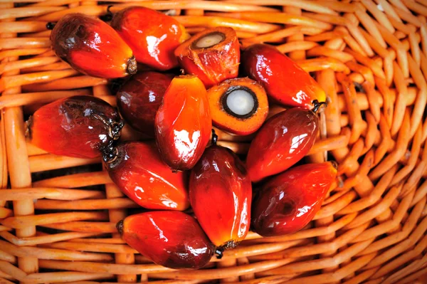 Close up of fresh oil palm fruits, selective focus. — Stock Photo, Image