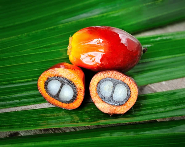 新鲜的油棕榈果 — 图库照片
