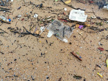 Okyanustaki plastik kirliliği (çevre kavramı)  