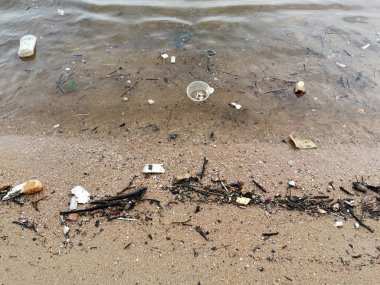 Okyanustaki plastik kirliliği (çevre kavramı)  