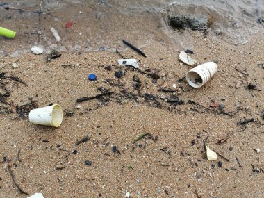 Okyanustaki plastik kirliliği (çevre kavramı)  