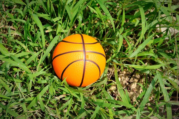Ball on the grass. — Stock Photo, Image