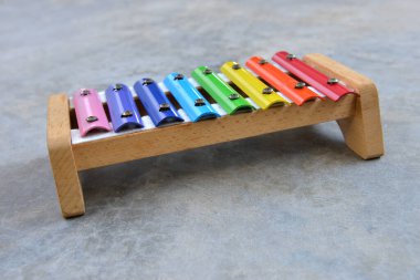 Çocuklar, müzik eğitimi kavramı için ksilofon metallophone. 
