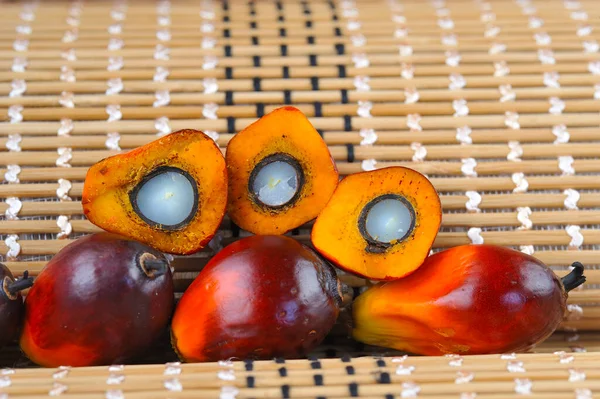 Palma Óleo Africana Elaeis Guineensis Dendê Originário África Ocidental Mas — Fotografia de Stock