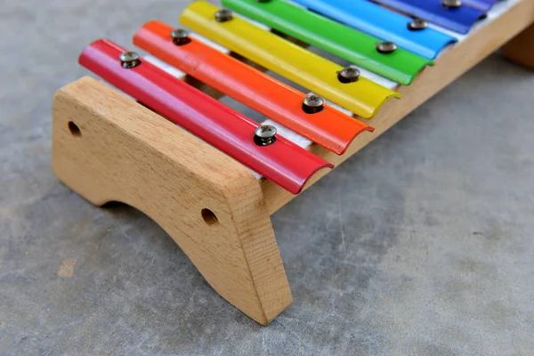 Métallophone Xylophone Pour Enfants Concept Éducation Musicale — Photo