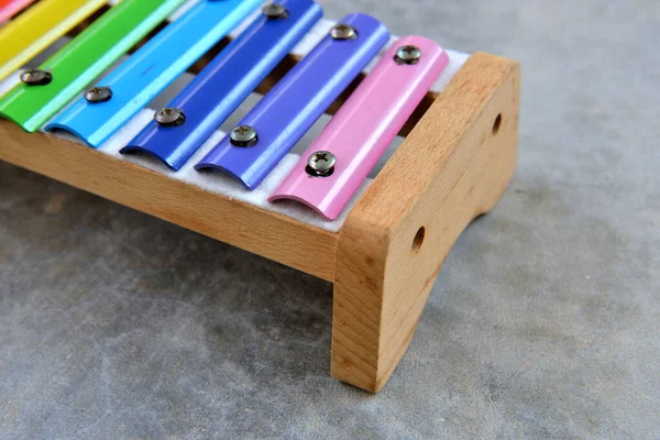 Métallophone Xylophone Pour Enfants Concept Éducation Musicale — Photo