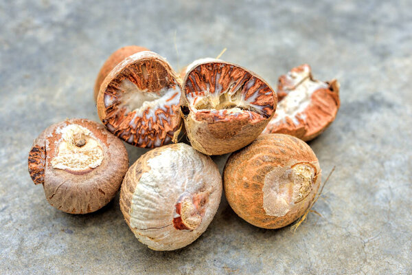 Close up of betel nut. Betel nut is a seed of the fruit of the areca palm, a type of palm tree. It is also known as areca nut, selective focus. 