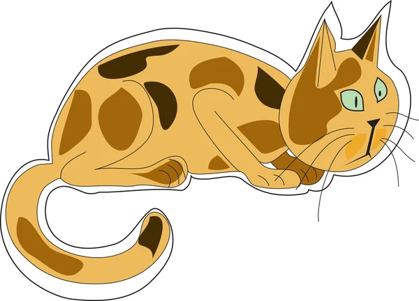 Leniwy kot — Zdjęcie stockowe