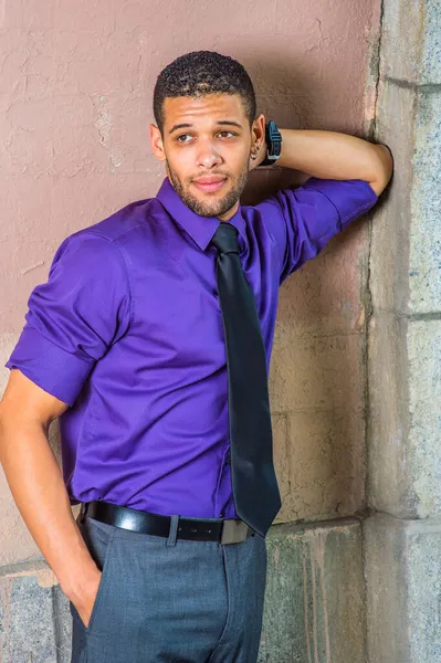 Buy Peter England Men Purple Full Sleeves Formal Shirt online
