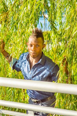 Adam Saklama ve Arama. Uzun yeşil yaprakların arkasında duran siyah saçlı genç bir adam dikkatlice etrafına bakıyor. Özgürlük Aranıyor.