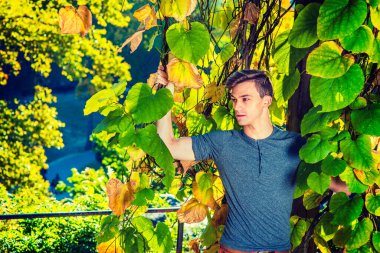 Altın Öğleden Sonra. Gri uzun kollu, yuvarlak taçlı Henley tişörtü giymiş, elinde rattan olan genç ve yakışıklı bir adam büyük yapraklı yeşil bitkilerin yanında duruyor, etrafa bakıyor, seni bekliyor.