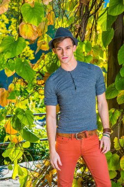 Genç adam. Gri uzun kollu, yuvarlak taçlı Henley gömlekli, kırmızı kotlu, yün bir Fedora şapkalı genç yakışıklı bir adam sonbahar öğleden sonra altın yeşilliğin yanında duruyor ve sana bakıyor..