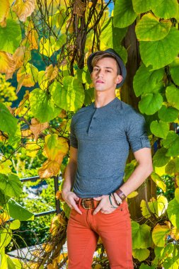 Genç adam. Gri uzun kollu, yuvarlak taçlı Henley gömlekli, kırmızı kotlu, yün bir Fedora şapkalı genç yakışıklı bir adam altın yeşilliğin yanında duruyor, ceplerinde figürler var, sana bakıyor.