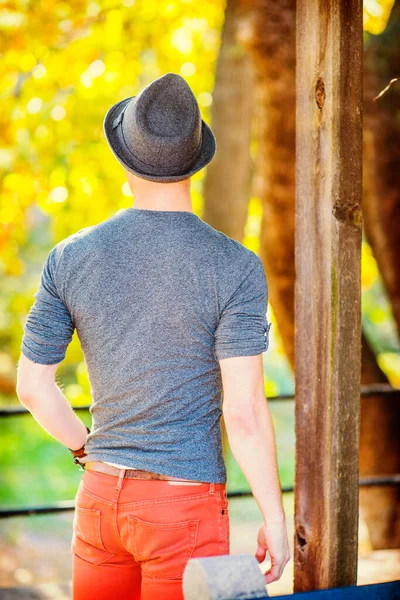 Man Back View. Dressing in a gray long sleeves with roll-tab Henley shirt, wearing a woolen Fedora hat, a young sexy guy is standing, looking back at  golden foliage background in a autumn afternoon